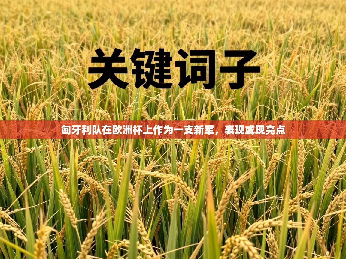 匈牙利队在欧洲杯上作为一支新军，表现或现亮点  第2张